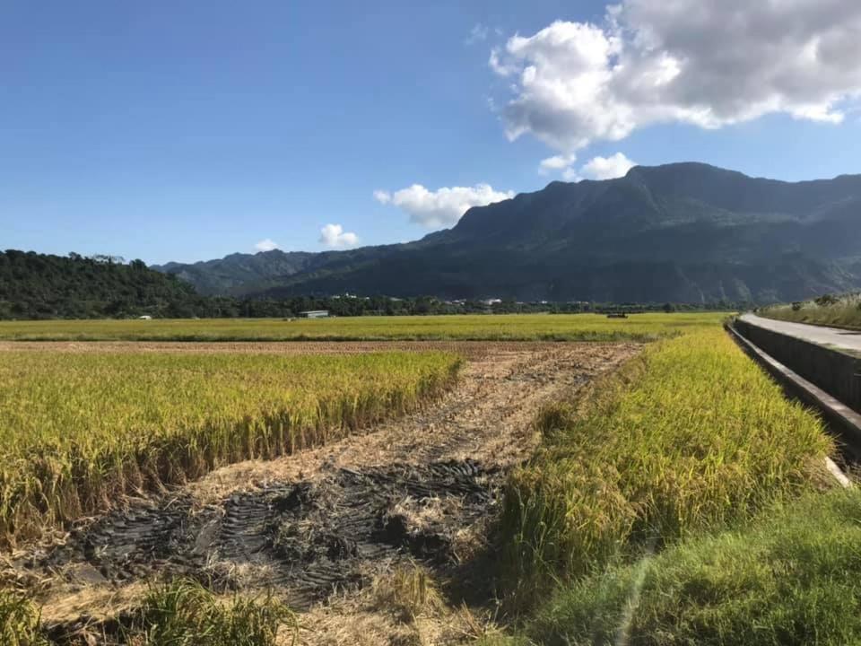 Luye Jamie'S Guesthouse エクステリア 写真