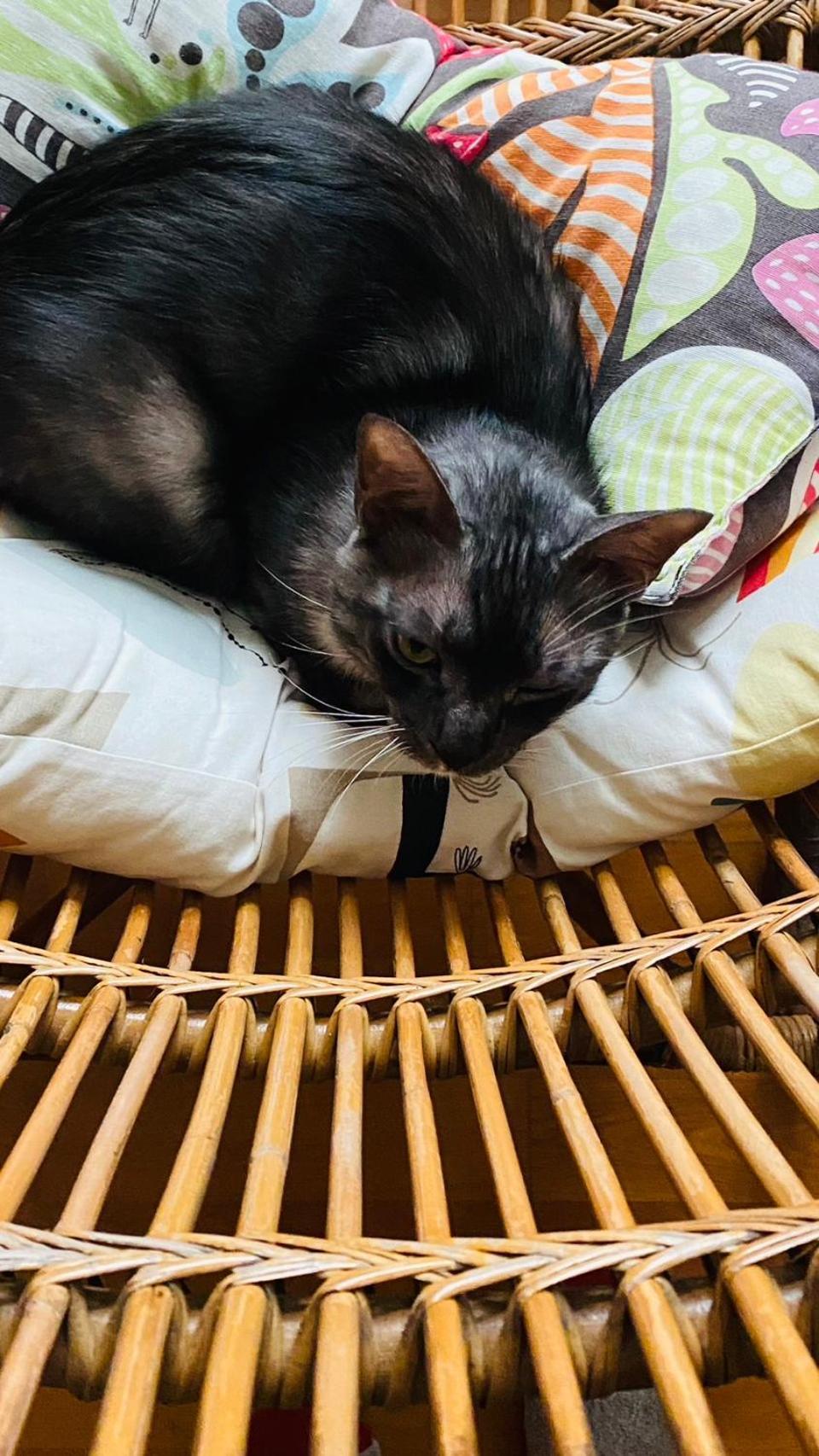 Luye Jamie'S Guesthouse エクステリア 写真